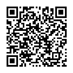 凭什么你一个刚实习的实习生就能站在自己面前当老师讲课了二维码生成