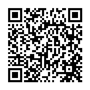 凭什么就觉得我在城市里随随便便就能给你们挣了几十万二维码生成