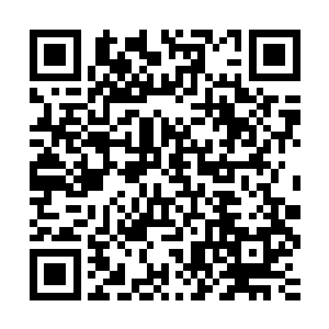 凭你区区一个筑基期的修真者有什么资格在这跟本大爷指手画脚二维码生成