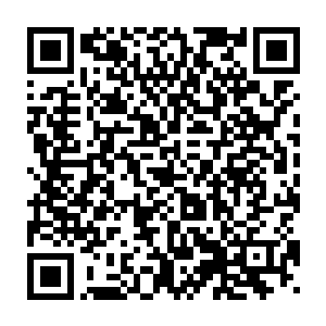 凭我们龙家现在的实力就算是与教廷对上了短时间内也不会落于下风二维码生成