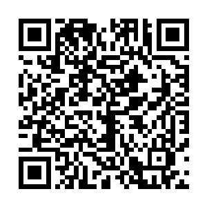 凯文反而叫了起来――现在他对珍妮的态度已经非常亲热了二维码生成