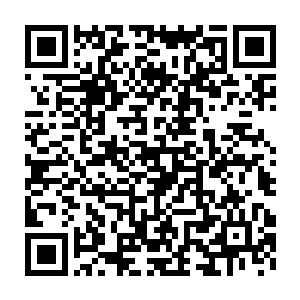 凯莉从上大学到进入实验所之前和帕尔瓦蒂的故事就会是很好的前传二维码生成