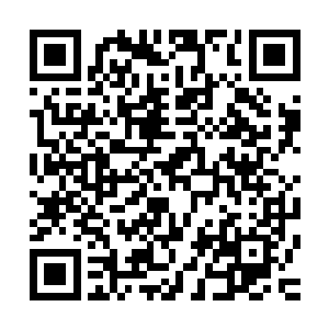 凶悍无比的迎击了裴易的那一掌……狂暴的掌力轰击在了一处二维码生成
