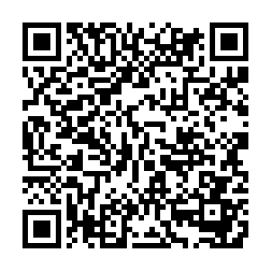 凸显了陆为民提出的要把各党派和民间社会群体组织和新闻媒体人都包括进来二维码生成