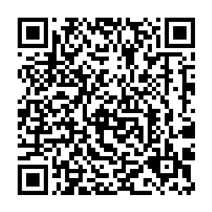 出入不到十张――如果不是珍妮弗的基本盘奇迹般地升到了100张以上二维码生成