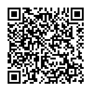 出尘……太多太多的形容词都无以表达玄天华在人们心目中的地位二维码生成
