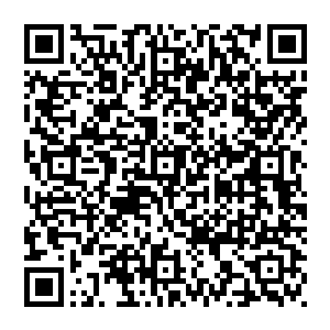 出现之后他一手掌控仙榜一手向下一点仙榜转动施放的威压轰然爆发而出镇压滔天大火与之迎面而出的大火碰撞二维码生成