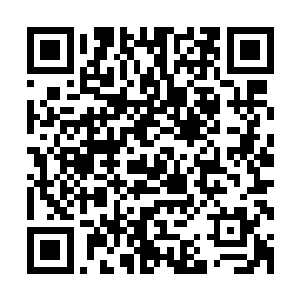 出现在他们面前的却并不是他们预想中被大量妖族伏击的画面二维码生成