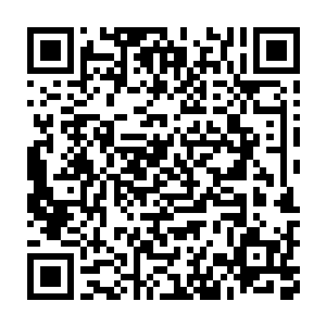 出现在他昨天晚上进来的那个生长在河边的巨大的红柳树的树洞里二维码生成