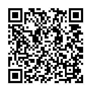 出现在众人眼前的正是一条盘旋在一起的巨大白色蟒蛇二维码生成