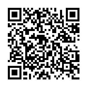 出现在雷林与海伦面前的是众多宛如蜂巢一样的房间二维码生成