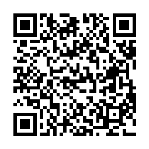 击败了曾经统治着海底的巨型变异章鱼以及巨型虎头鲨二维码生成