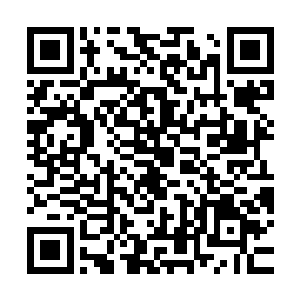 刀疤简单的介绍了一下这个他要介绍给秦方认识的人跟他的关系二维码生成