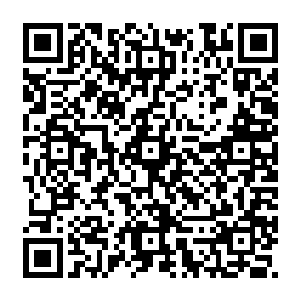 刀白凤竟然要与一个不知名的金凤凰一起走血继之路中十万年难得一遇的比翼双飞路二维码生成