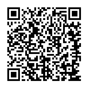 分出一半的人手去我们黄浦家族控制的区域协助城主府搜寻被通缉的人二维码生成
