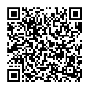 分别化作一把散发着冰寒气息的冰寒之剑以及一把携着滚滚炙焰的炙炎之剑二维码生成