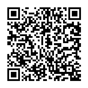 分布在宁安城各处的大儒与大学士已经通过官印看到南城门外发生的一切二维码生成