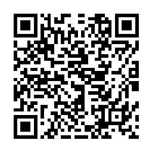 分明是不舍得那些宠物因为实力问题被商修者捉走才提升的二维码生成