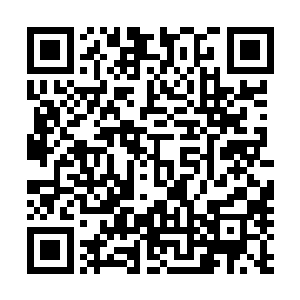 分管经济的副书记和常务副市长看起来似乎也只是一线之隔二维码生成