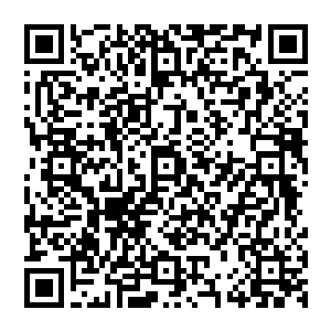 切 就你这种什么等级都沒有的白板号 能泡个屁妞咧 你要是开个国王啥的 那才泡的了妞 二维码生成