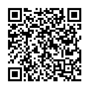 切萨雷和我都不是不知感恩的人――我们愿意放弃跟随谈价策略二维码生成