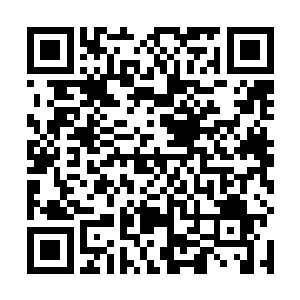 刑侦队长沈传飞和副队长陶振恒他们放下了所有的案子二维码生成