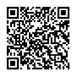 刑天那本被熊孩子斩断的左臂竟然也忽然化为一股股血光二维码生成