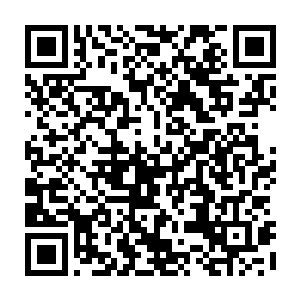 刘家几个探玉师都说这里会有绝世好玉……看他大哥取回的墨玉的品质的确不低二维码生成