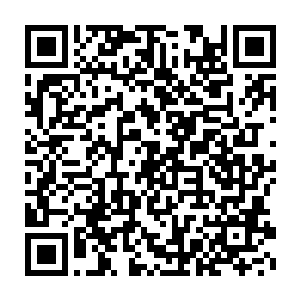 则是因为海处长确实需要一个人帮他来判断建设粗制茄尼醇工厂的条件二维码生成