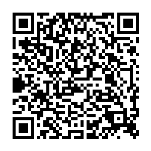 则是杨晨在发现自己似乎可以掌控这个世界的一切的时候突然想到的二维码生成