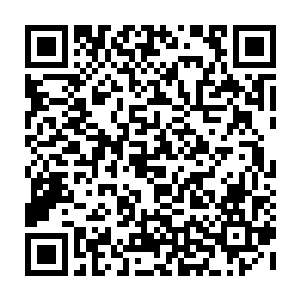 则由于时间过于久远实在难以追寻而第二大文明的痕迹其实各大行星都有二维码生成