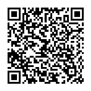 刚从咱们府给听音姑娘问完诊的孙太医也即刻被招去了皇后的凤鸾宫二维码生成