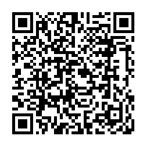 刚从神殿中放出来的星儿和蓝儿那有些空洞无神的眼睛下意识的转动了一下二维码生成