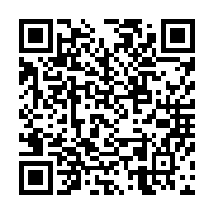 刚从雷霆罚池出来的闻人修浑身上下几乎满是血淋淋的伤口二维码生成