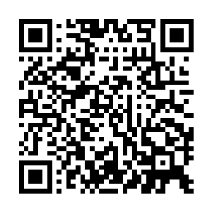 刚写完了功课跑回房里探望妹妹的墨小宝无端的打了个寒颤二维码生成