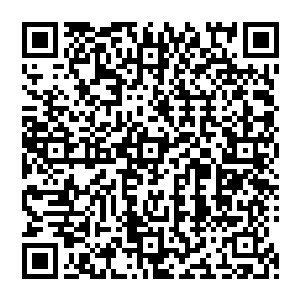 刚刚从兵荒马乱的伊拉克叙利亚前线回到安定社会的黛茜显然适应力和王万余是有天差地别的二维码生成