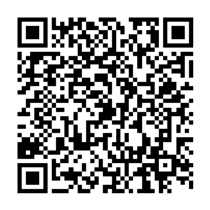 刚刚从府邸里面追出去的季十卫和无极宫使者一听到季疏云的哨声二维码生成