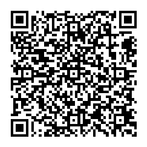 刚刚从洛杉矶飞来这边的帕尼凯利斯和华纳兄弟的发行部门负责人道格沃尔特已经等在了旁边的办公室里二维码生成