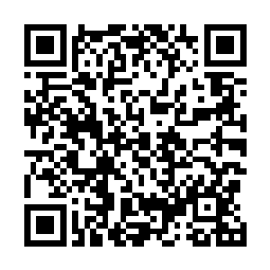 刚刚从鬼门关上走回来的佔真显然已经失去了反抗的意识二维码生成