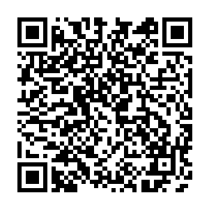 刚刚偷袭陈凌的那十几道剑气他们的本意是用来阻止陈凌继续攻击那名武尊的二维码生成