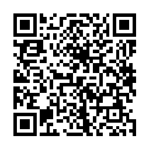 刚刚只是某个少年实在忍不住他们才悄悄到了武士第一塔外二维码生成