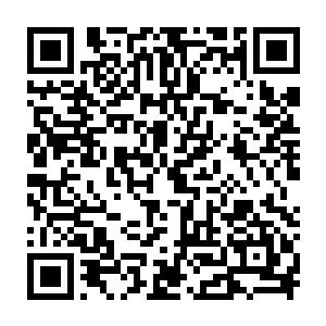 刚刚只能缩在角落里毫不引人注目的画面瞬间放大了几十倍出现在所有高官面前二维码生成