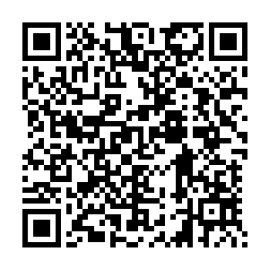 刚刚吞噬了五分之一的时候龙傲天就忍不住咬碎了嘴里的第一粒丹二维码生成