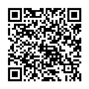 刚刚在梦中的感觉是那样的真实……一定是外祖母来过二维码生成