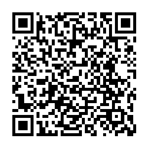 刚刚在美国人眼里消失了大半年的老鼠超人将又一次被电视带回到他们眼前二维码生成