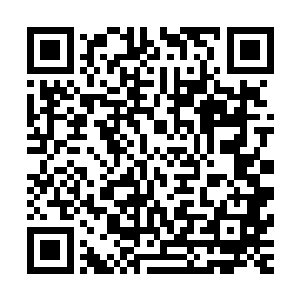 刚刚坐在一起讨论任务收获的内容也绝对绝对是说给自己听的二维码生成