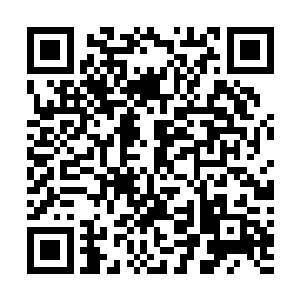 刚刚成为武学宗师的小敏和小青想要秒杀这两个不速之客二维码生成