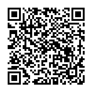 刚刚才因为凝聚了雷系法相和电系法相而感到一丝放松和得意的楚旬也心神一凛二维码生成