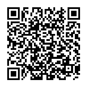 刚刚把车停稳过来没多久的连俢肆半弯着身体指着池子里的扇贝问老板价格二维码生成