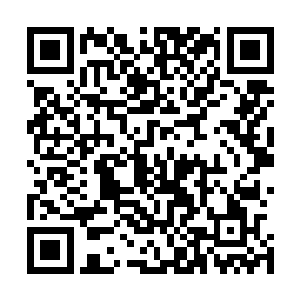 刚刚李氏世家另外的几名弟子同样使出了李下山这样的招数二维码生成